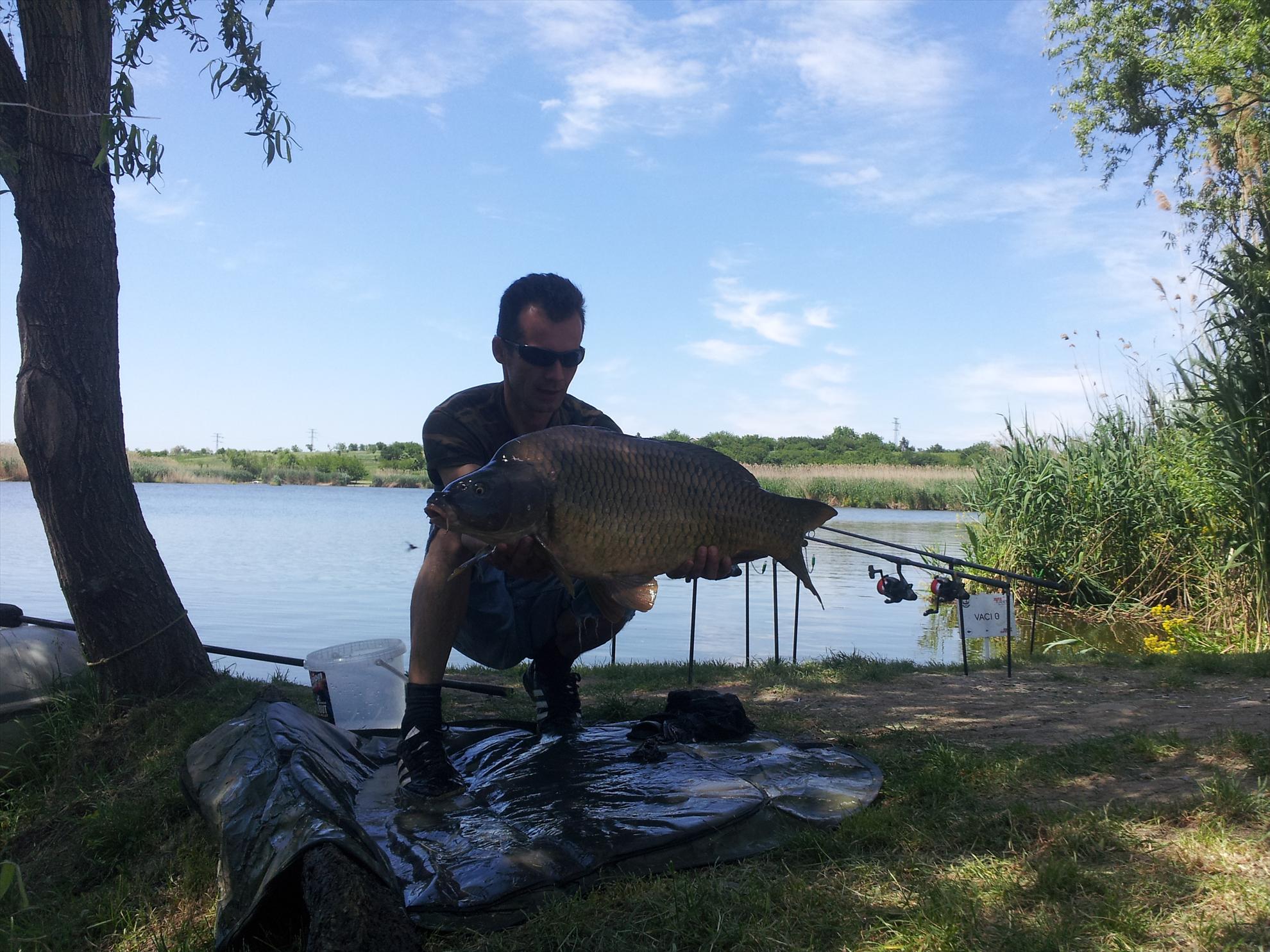 tancabesti 11-12'05''2013 - 20130512140332.jpg